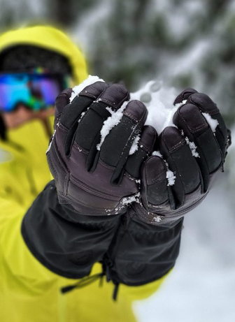 Winter Gloves